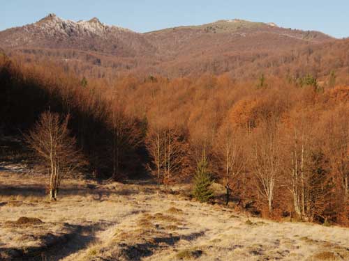 Foto Trei Apostoli si varful Gutai (c) Petru Goja